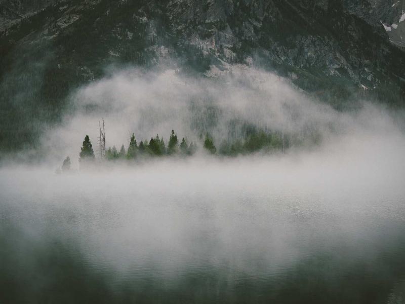 community screenshot 6